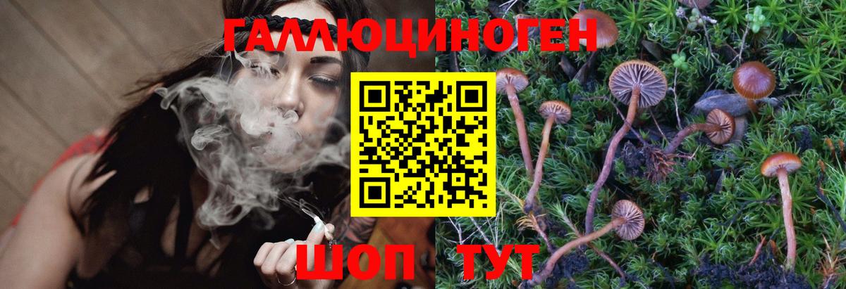 Псилоцибиновые грибы Cubensis Трёхгорный