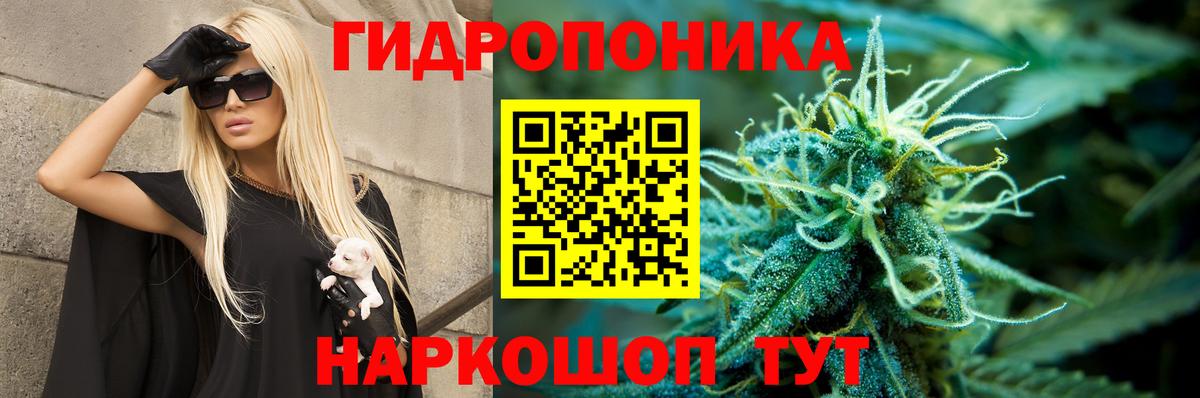 МАРИХУАНА OG Kush Трёхгорный